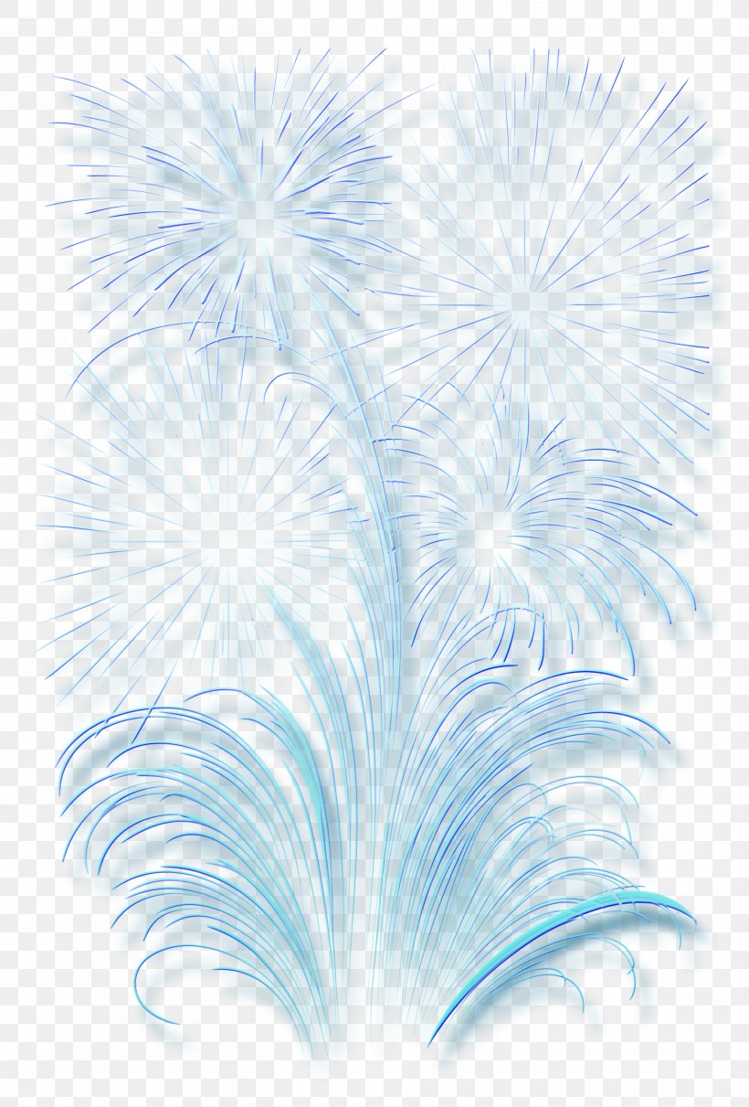 Fireworks Photography, PNG, 2826x4176px, Fireworks, Animation, Feather, Flower, Organism Download Free