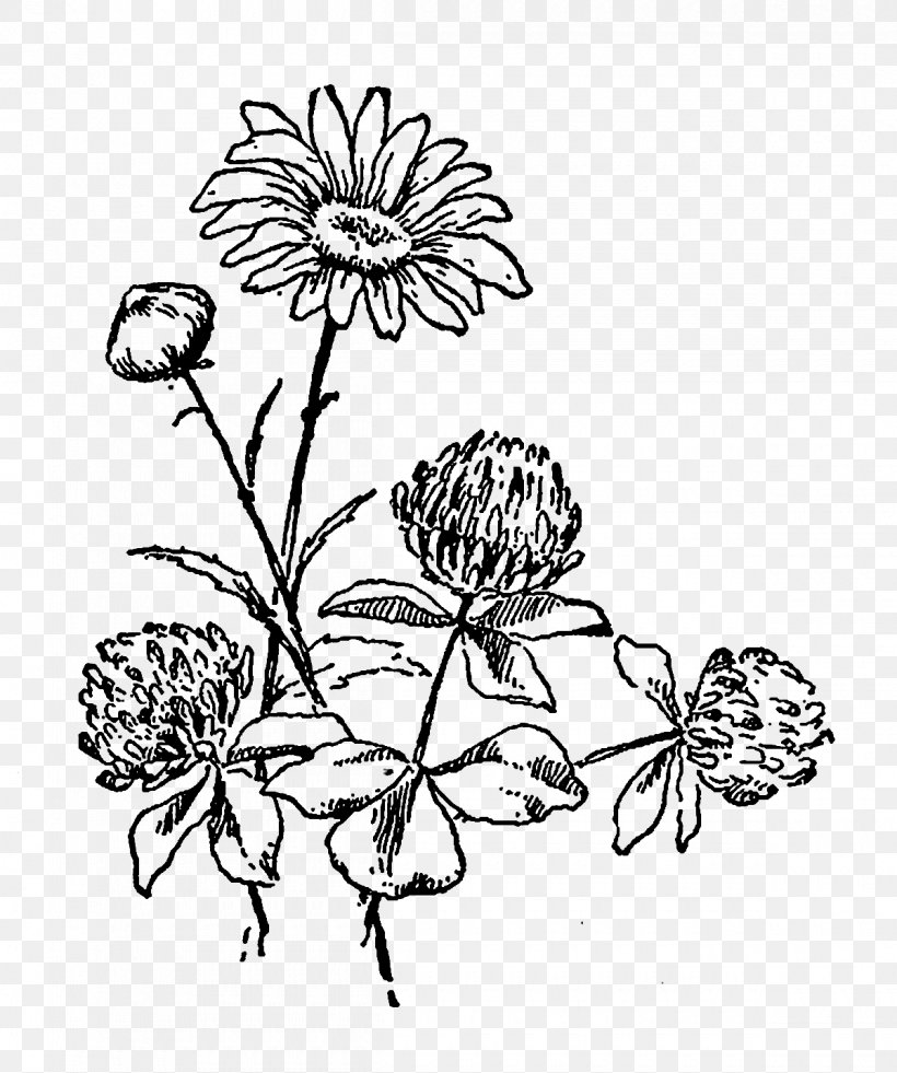 Flower Black And White Drawing Clip Art, PNG, 1200x1437px, Flower, Art, Black And White, Branch, Chrysanths Download Free