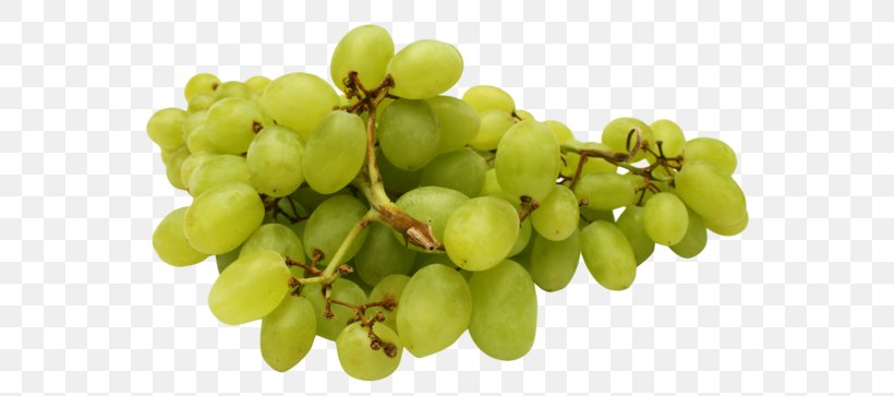 Grape Sauvignon Blanc Chenin Blanc Fruit, PNG, 600x363px, Grape, Apple, Chenin Blanc, Common Grape Vine, Food Download Free
