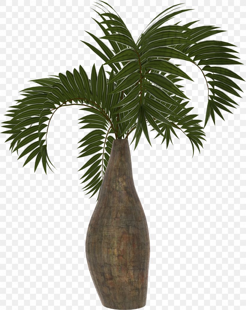 Arecaceae Asian Palmyra Palm Coconut Date Palm Plant, PNG, 2377x3000px, Arecaceae, Arecales, Asian Palmyra Palm, Borassus, Borassus Flabellifer Download Free