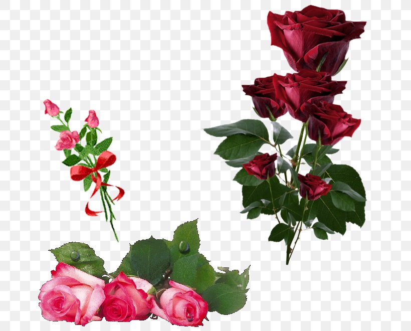 Garden Roses Artificial Flower Clip Art, PNG, 680x660px, Rose, Artificial Flower, Blue Rose, Cut Flowers, Edible Flower Download Free