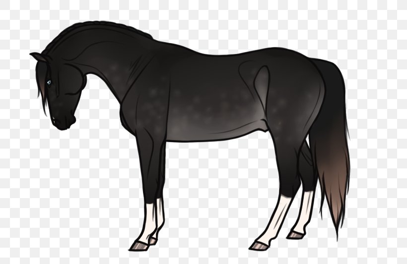 Mane Mustang Stallion Mare Pony, PNG, 800x533px, Mane, Bridle, Dog Harness, Halter, Horse Download Free