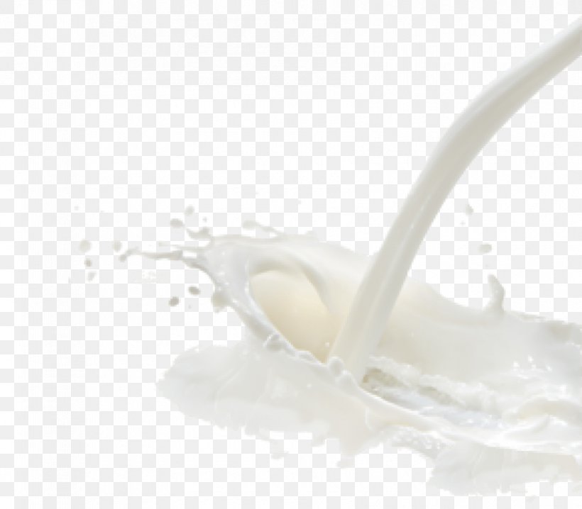 Milk, PNG, 850x745px, Milk, Dairy Product, Food Download Free