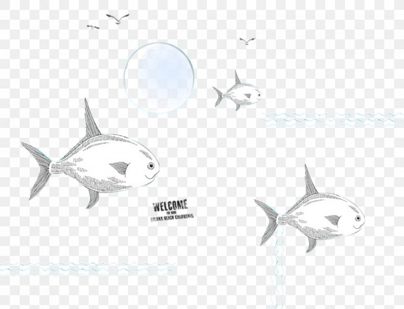 Requiem Shark Porpoise Cetacea Sketch, PNG, 968x742px, Requiem Shark, Artwork, Biology, Black And White, Cartilaginous Fish Download Free