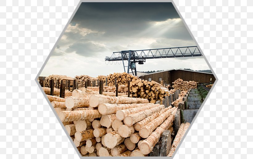 Sawmill Particle Board Lumberjack Forestry, PNG, 596x516px, Sawmill, Architectural Engineering, Forestry, Industry, Lumber Download Free