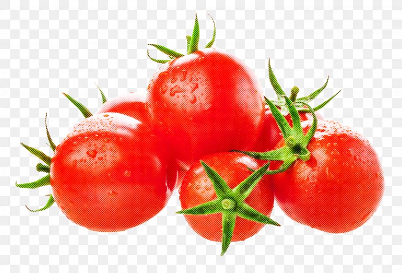 Tomato, PNG, 2964x2016px, Natural Foods, Bush Tomato, Cherry Tomatoes, Food, Fruit Download Free