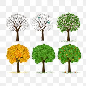 Tree Of Life Images Tree Of Life Transparent Png Free Download