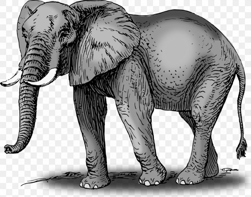 Asian Elephant Elephants Clip Art Illustration African Bush Elephant, PNG, 900x710px, Asian Elephant, African Bush Elephant, African Elephant, Art, Black And White Download Free
