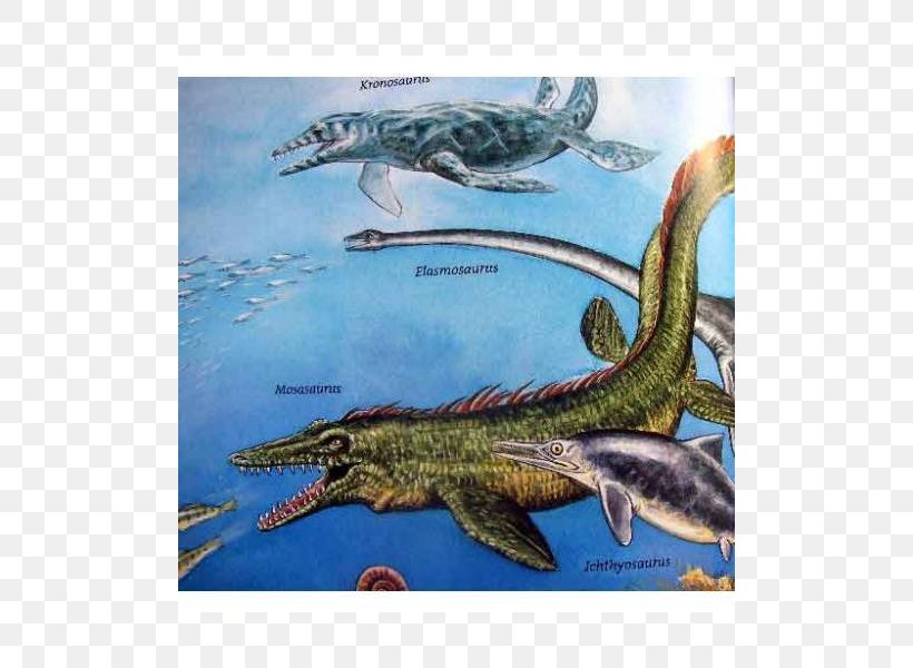 Fauna Ecosystem Dinosaur Fish, PNG, 800x600px, Fauna, Dinosaur, Ecosystem, Fish, Organism Download Free