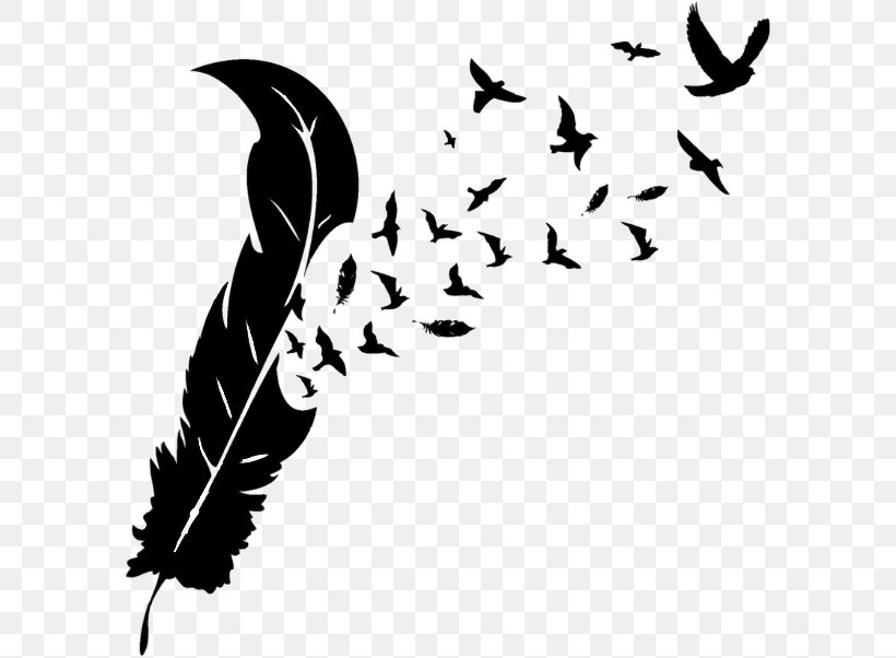 Feather Bird Wall Decal Photography Sticker, PNG, 595x602px, Feather, Art, Beak, Bedroom, Bird Download Free