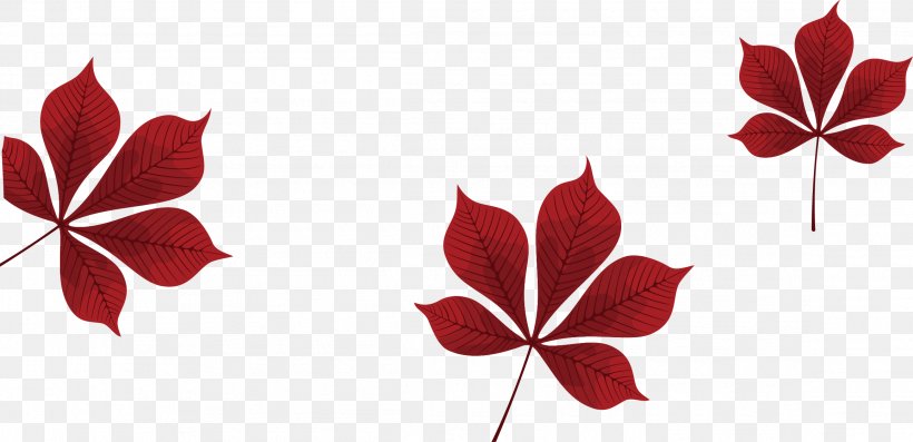 Petal Red Leaf Pattern, PNG, 2313x1120px, Leaf, Autumn, Autumn Leaf Color, Deciduous, Flower Download Free