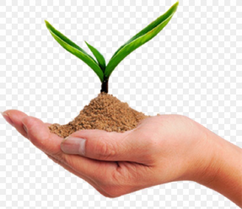 Soil YouTube Sand Sustainable Development, PNG, 1400x1209px, Soil, Afacere, Company, Flowerpot, Grass Download Free