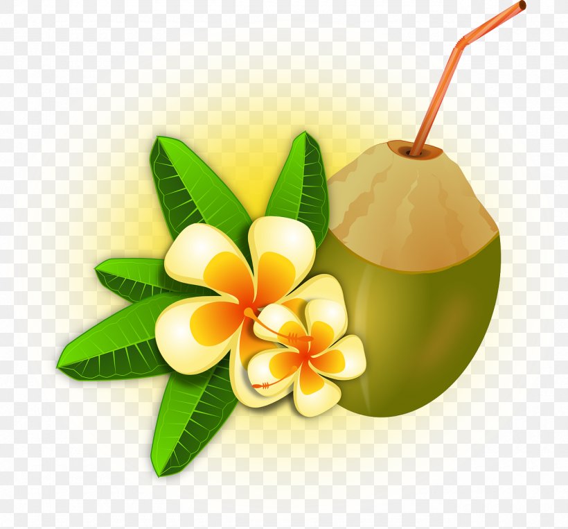 Cocktail Smoothie Coconut Water Clip Art, PNG, 1280x1192px, Cocktail, Coconut, Coconut Water, Drink, Flower Download Free