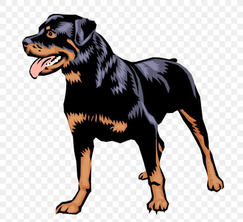 Dog Rottweiler Working Dog Companion Dog, PNG, 750x750px, Dog, Companion Dog, Rottweiler, Working Dog Download Free