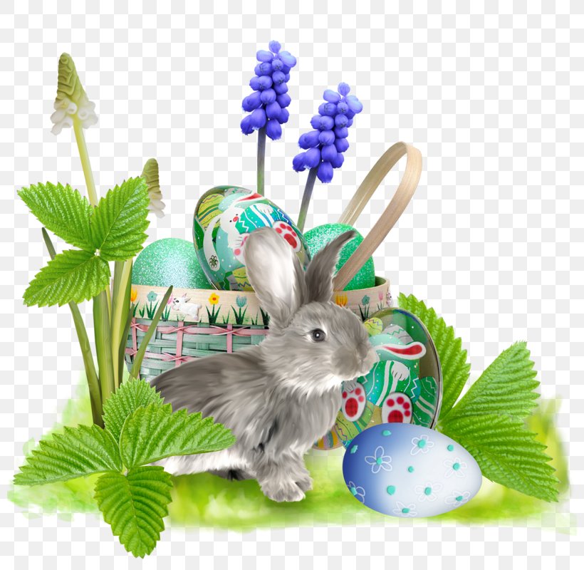 Easter Bunny Domestic Rabbit Clip Art, PNG, 800x800px, Easter Bunny, Domestic Rabbit, Drawing, Easter, Grass Download Free