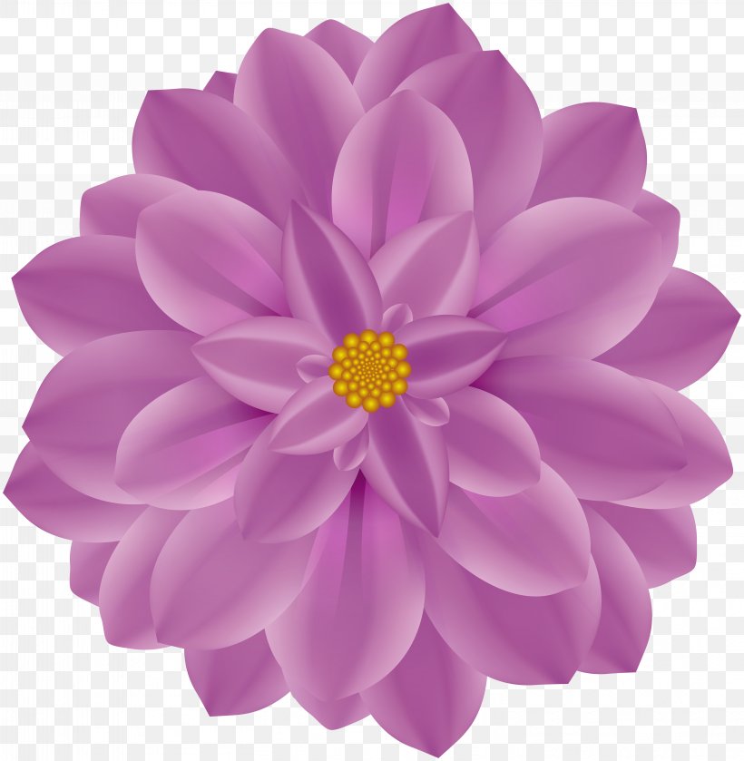 Lilac Flower Violet Drawing Clip Art, PNG, 5861x6000px, Lilac, Art, Chrysanths, Dahlia, Daisy Family Download Free
