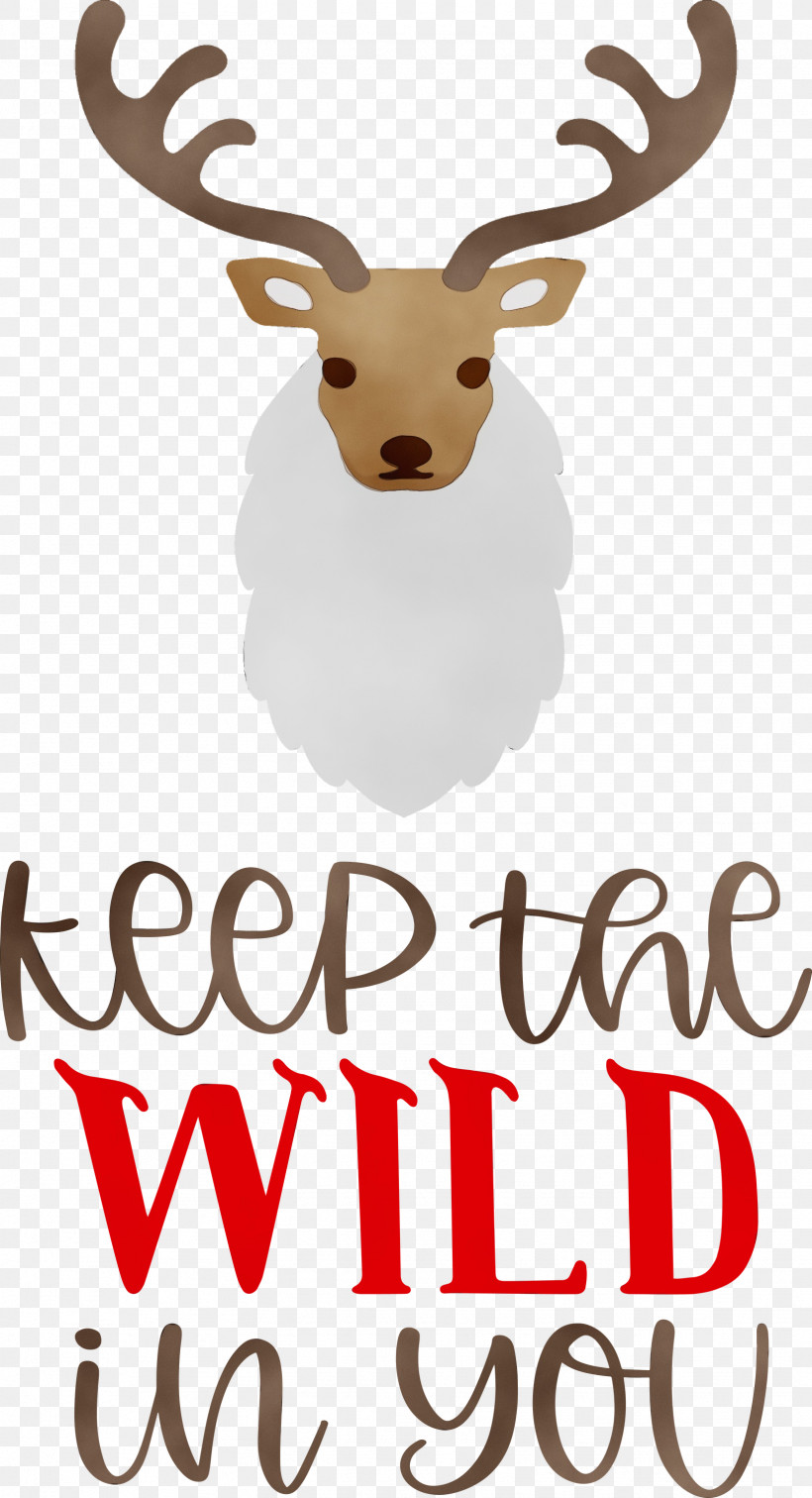 Reindeer, PNG, 1626x3000px, Keep Wild, Antler, Biology, Character, Deer Download Free