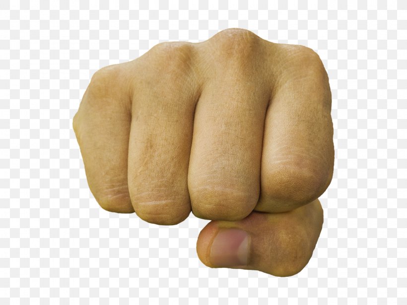 Hand Finger Fist Image File Formats, PNG, 1280x960px, Hand, Arm, Display Resolution, Finger, Fist Download Free