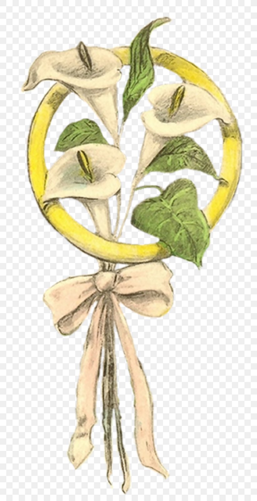 Illustration Plant Stem Flower Character Fruit, PNG, 800x1600px, Plant Stem, Character, Fiction, Fictional Character, Flower Download Free