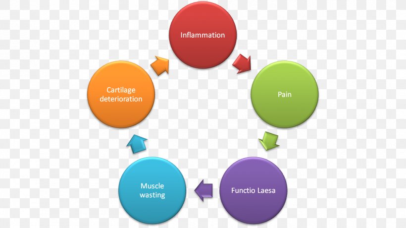 Lean Six Sigma Lean Manufacturing Organization Continual Improvement Process, PNG, 1352x760px, Lean Six Sigma, Brand, Business, Business Process, Communication Download Free