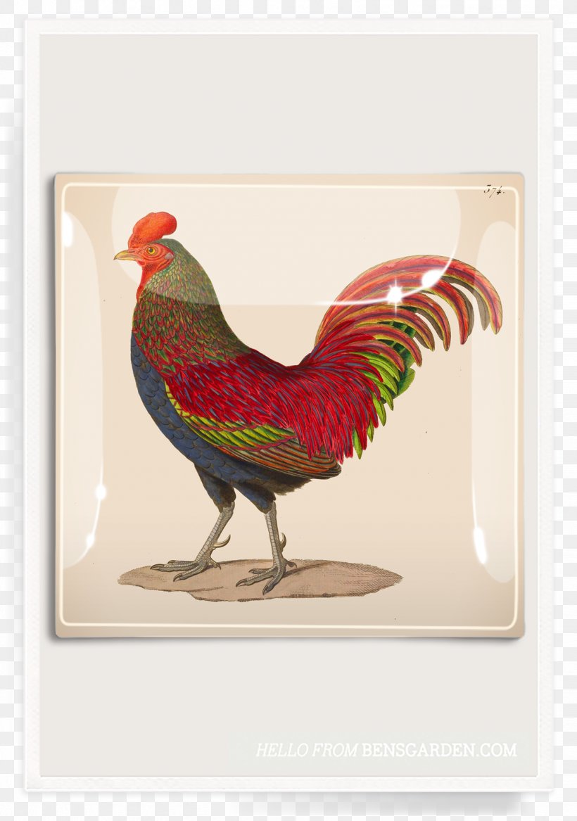 Rooster Work Of Art Printing Art.com, PNG, 1438x2048px, Rooster, Allposterscom, Art, Art Museum, Artcom Download Free