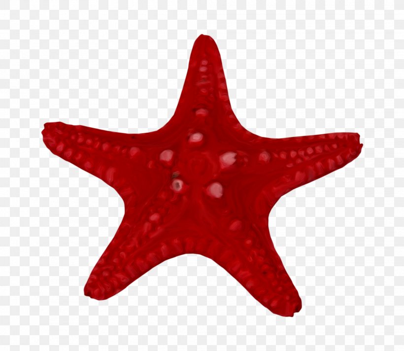 Starfish Marine Invertebrates Clip Art, PNG, 2080x1808px, Starfish, Animal, Digital Image, Display Resolution, Echinoderm Download Free