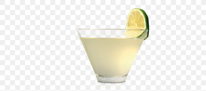 Gimlet Cocktail Garnish Limeade Margarita Lemon-lime Drink, PNG, 456x363px, Gimlet, Cocktail, Cocktail Garnish, Drink, Garnish Download Free