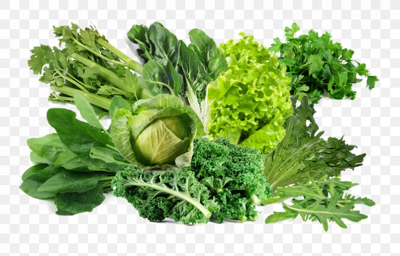Parsley Lettuce Vegetable Food Health, PNG, 824x529px, Watercolor, Cartoon, Flower, Frame, Heart Download Free