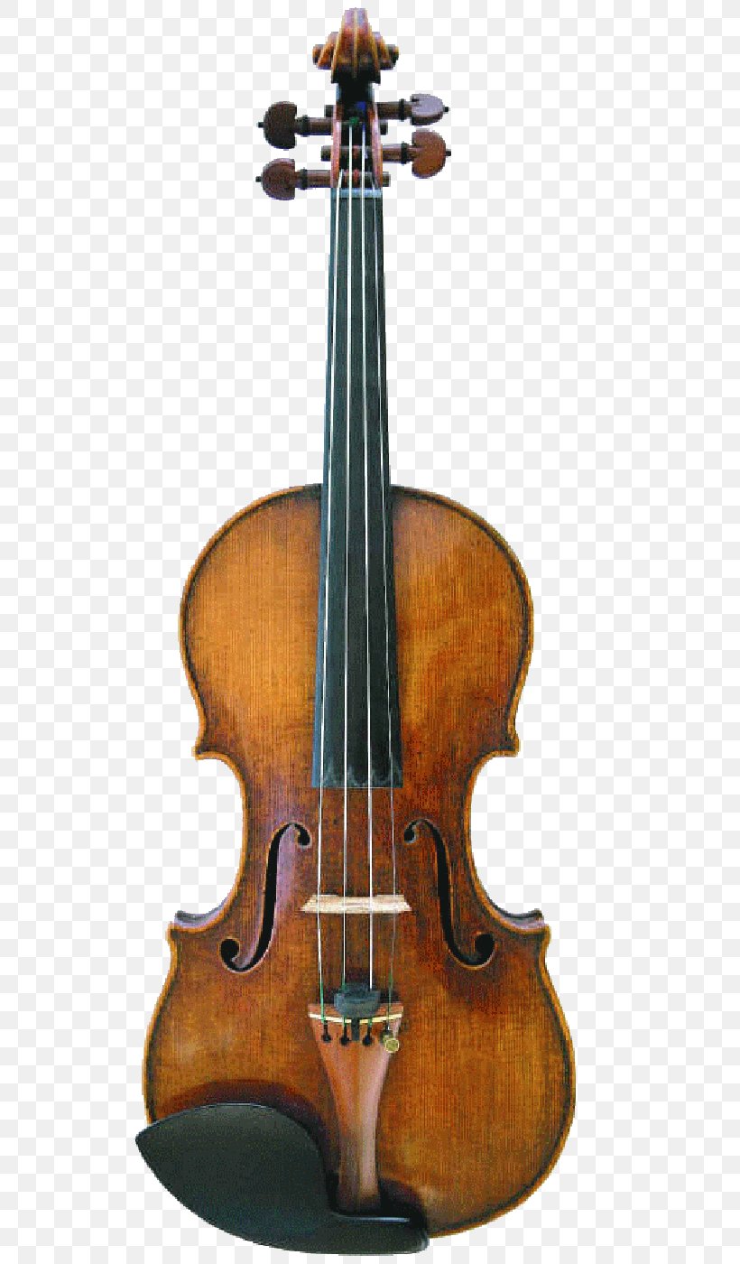 Cremona Lady Blunt Stradivarius Violin Musical Instruments, PNG, 536x1400px, Cremona, Acoustic Electric Guitar, Amati, Antonio Stradivari, Bass Guitar Download Free