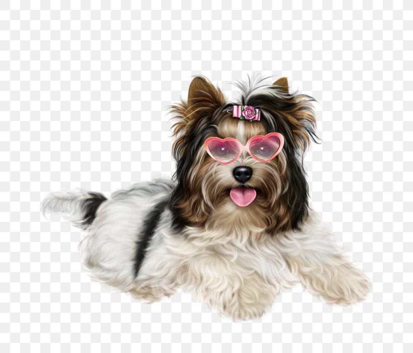 Yorkshire Terrier Puppy Desktop Wallpaper Clip Art, PNG, 700x700px, 2018, Yorkshire Terrier, Biewer Terrier, Carnivoran, Cat Download Free