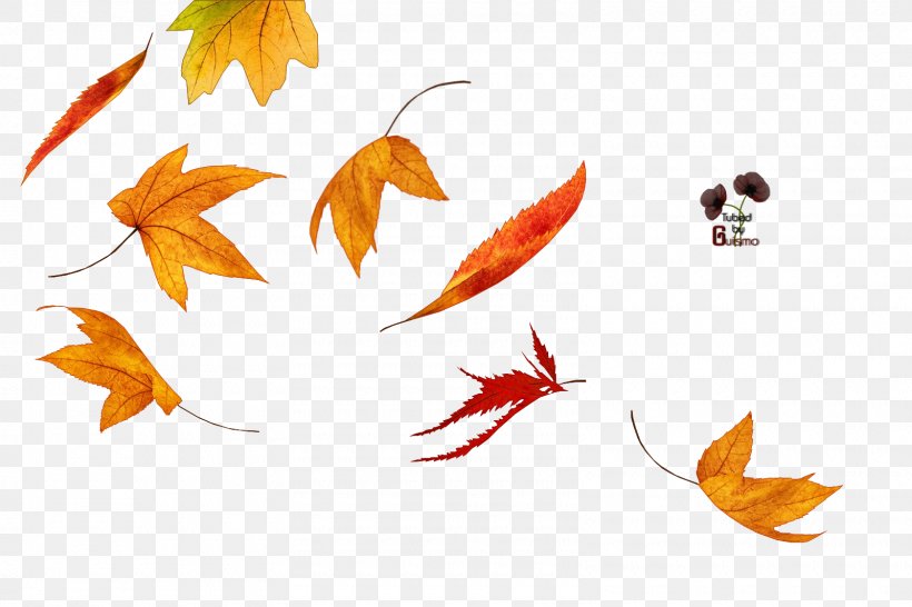 Autumn Leaf Color Winter, PNG, 1600x1066px, Autumn, Artwork, Autumn Leaf Color, Biological Pigment, Color Download Free