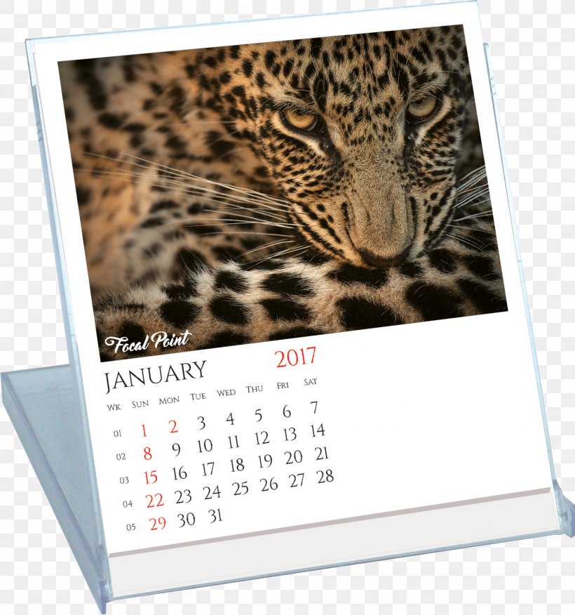 Leopard Jaguar Calendar Wildlife, PNG, 1446x1545px, Leopard, Big Cats, Calendar, Carnivoran, Cat Like Mammal Download Free