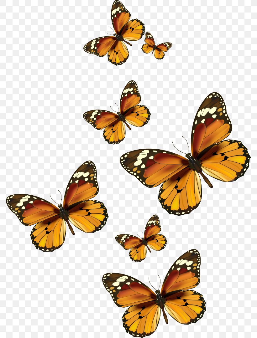 Monarch Butterfly Insect Clip Art, PNG, 781x1080px, Butterfly, Arthropod, Birdwing, Brush Footed Butterfly, Butterflies And Moths Download Free
