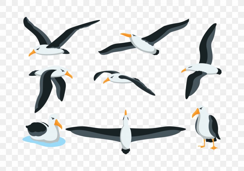 Seabird Penguin, PNG, 1400x980px, Bird, Albatross, Beak, Drawing, Flightless Bird Download Free