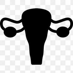 Ovary Female Reproductive System Uterus Fallopian Tube, Png 