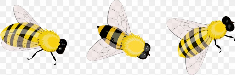 Insect Apidae Clip Art, PNG, 1915x613px, Insect, Apidae, Bee, Fly, Honey Bee Download Free