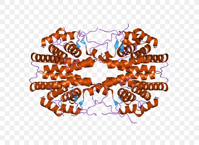 Retinoid X Receptor Gamma Retinoic Acid Receptor Nuclear Receptor, PNG, 800x600px, Retinoid X Receptor, Gene, Homo Sapiens, Logo, Nuclear Receptor Download Free