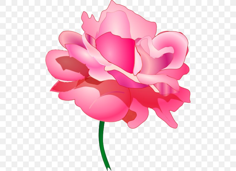 Rose Clip Art, PNG, 504x593px, Rose, Art, Blue Rose, Cut Flowers, Cyclamen Download Free