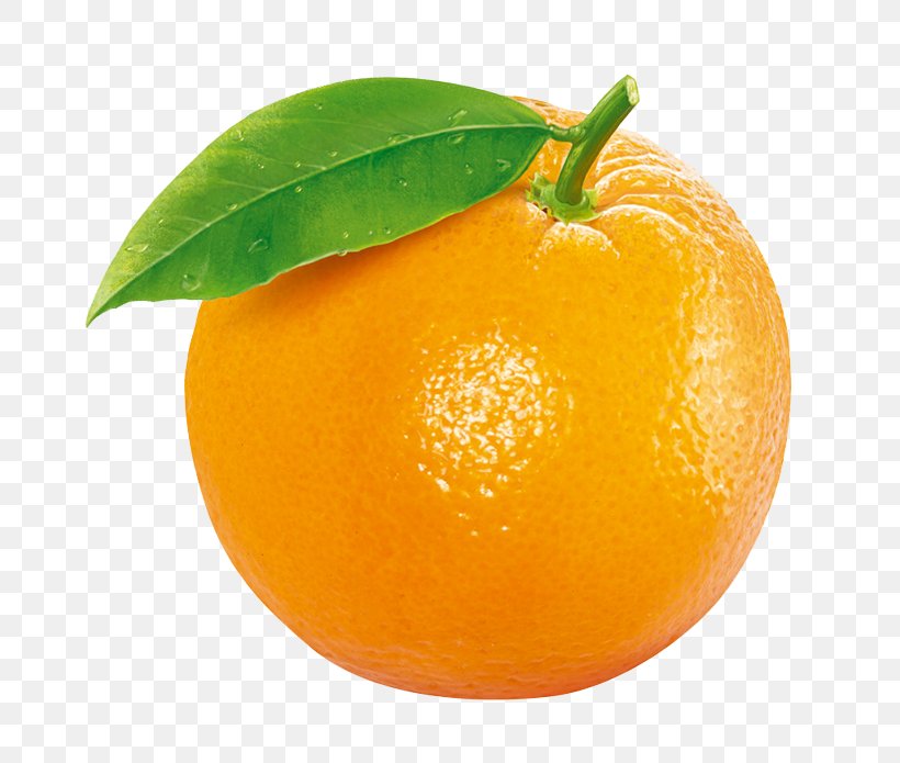 Tangerine Clementine Orange Fruit, PNG, 756x695px, Mandarin Orange, Auglis, Bitter Orange, Chenpi, Citric Acid Download Free