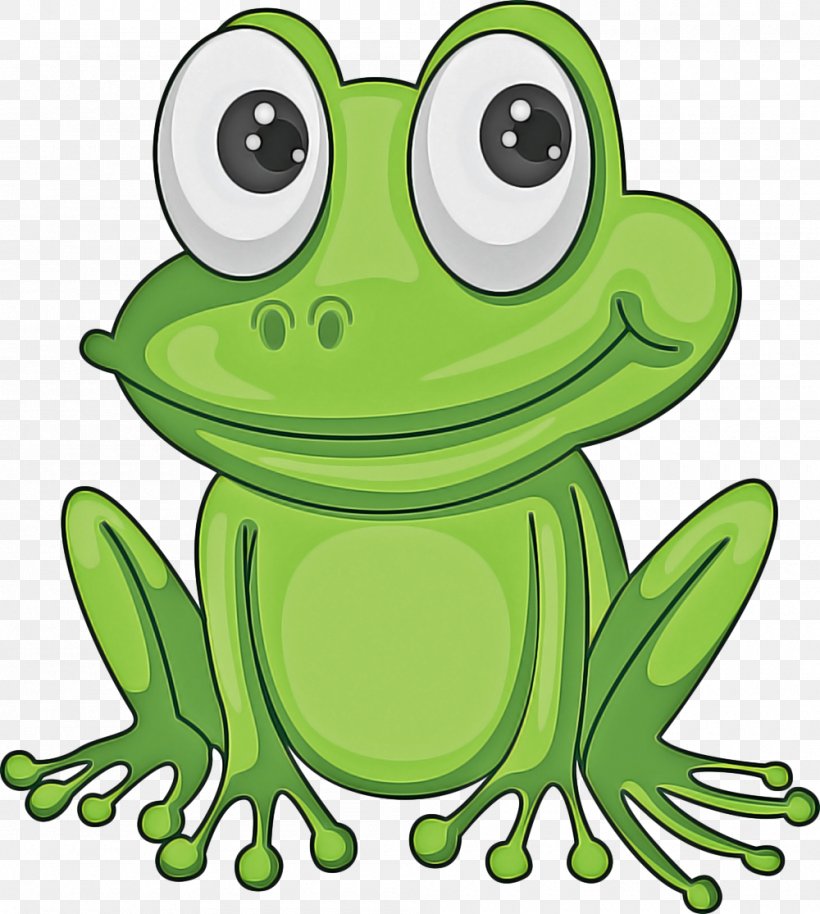 Frog Green True Frog Hyla Tree Frog, PNG, 1000x1115px, Frog, Cartoon, Gray Treefrog, Green, Hyla Download Free