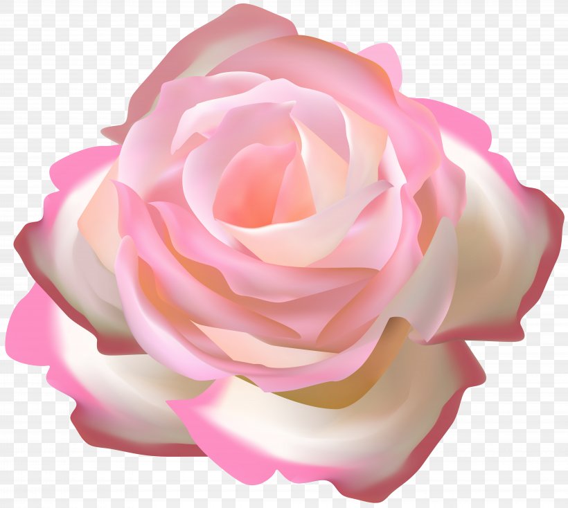 Garden Roses Clip Art Floral Ornament Transparency, PNG, 8000x7165px, Garden Roses, Blue, Blue Rose, Cabbage Rose, China Rose Download Free