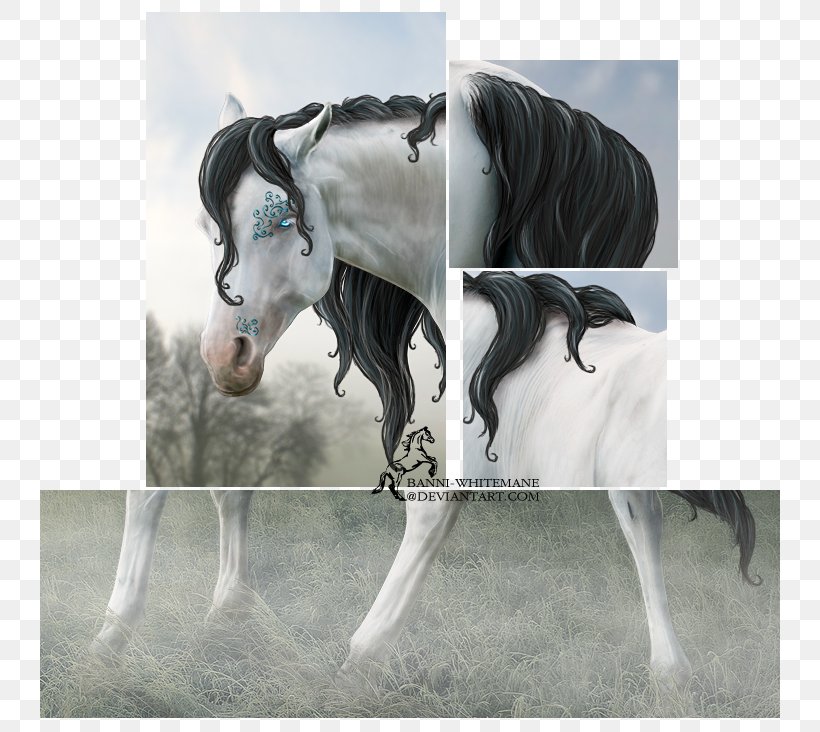 Stallion Mustang Halter Mare Mane, PNG, 778x732px, Stallion, Bridle, Halter, Horse, Horse Like Mammal Download Free