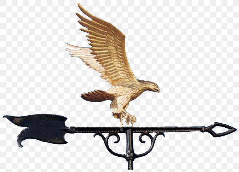 Weather Vane Bronze Roof Copper Deluxe Weathervane Montague Metal Products, PNG, 1975x1423px, Weather Vane, Accipitriformes, Beak, Bird, Bird Of Prey Download Free