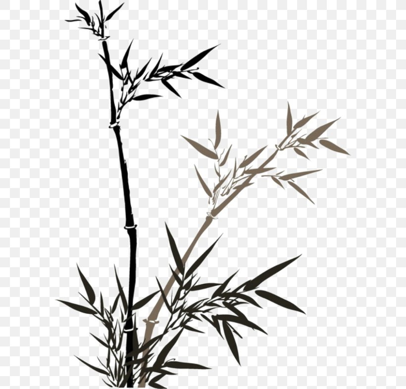 Bamboo Ink Wash Painting Chinese Painting Inkstick, PNG, 600x786px, Bamboo, Black And White, Branch, Chinese Painting, Chinoiserie Download Free