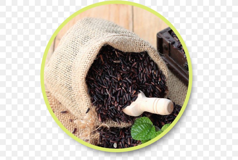 Earl Grey Tea Tea Plant, PNG, 544x552px, Earl Grey Tea, Earl, Tea Plant Download Free