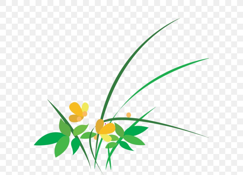 Flower, PNG, 591x591px, Flower, Area, Branch, Designer, Drawing Download Free