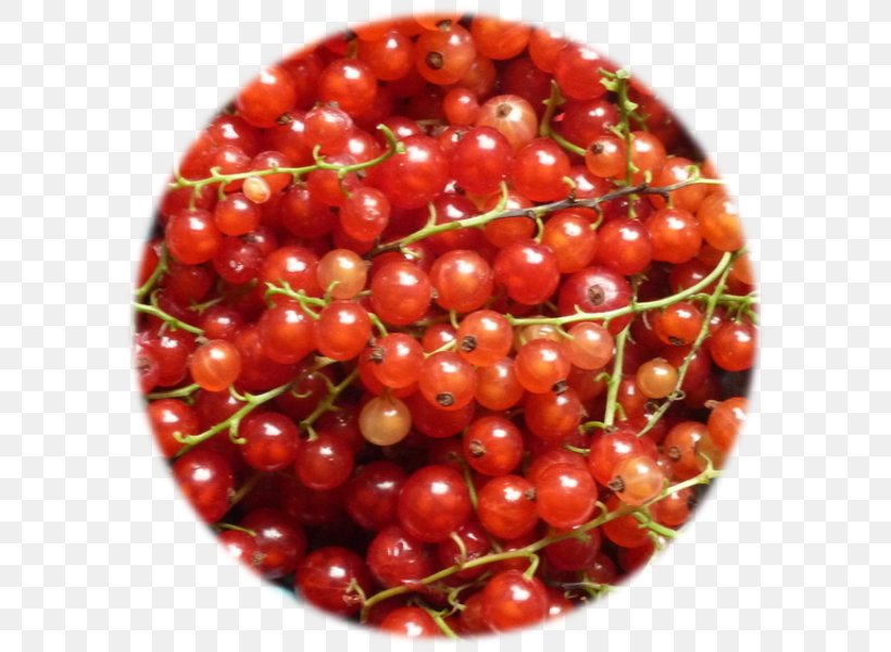 Zante Currant Tart Food Lingonberry, PNG, 600x600px, Zante Currant, Acerola Family, Berry, Cherry, Cranberry Download Free