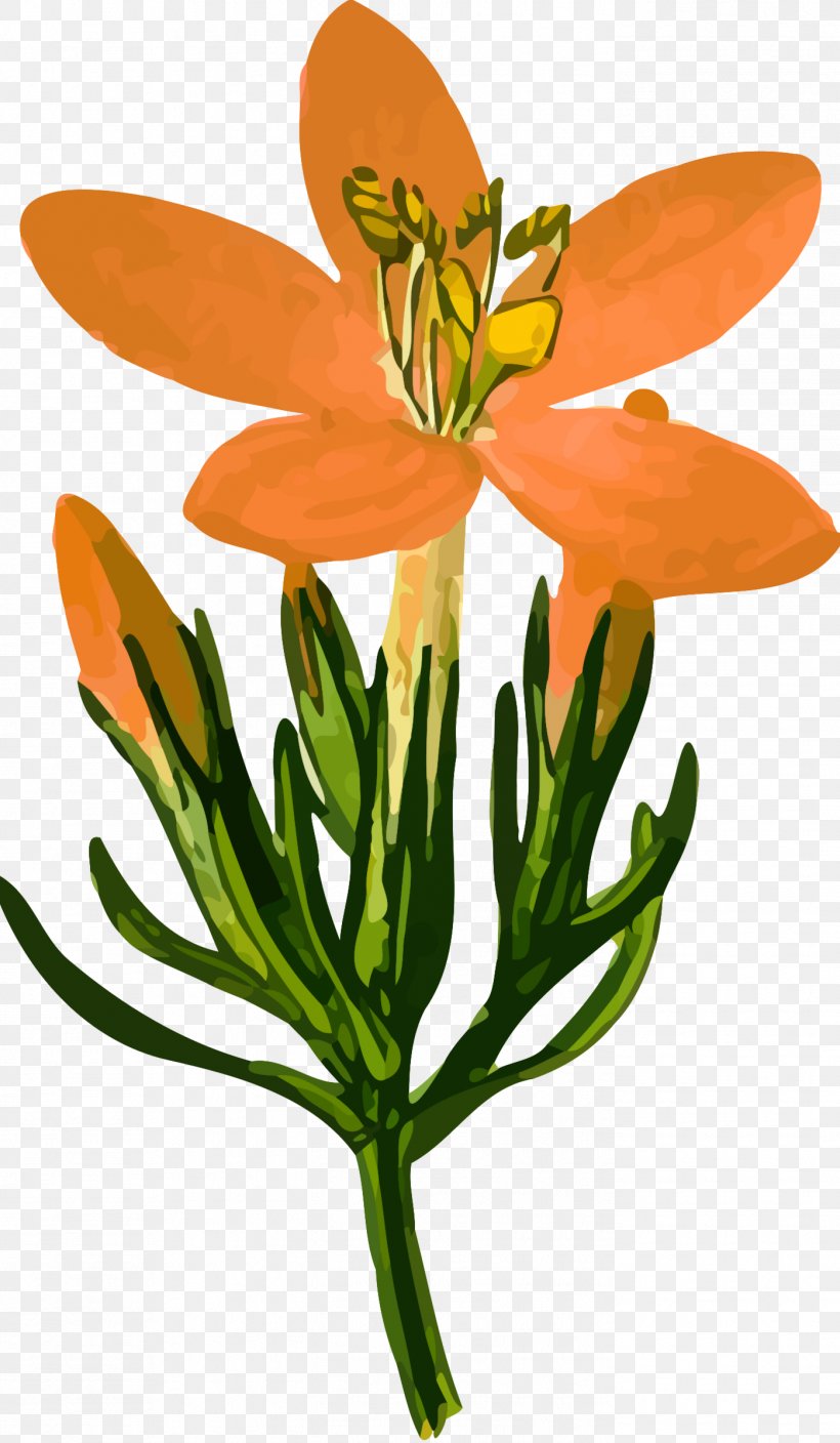 Gentian Clip Art, PNG, 1397x2400px, Gentian, Cut Flowers, Flora, Floral Design, Flower Download Free