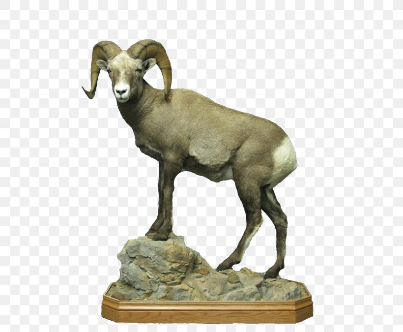 Argali Sheep Clothes Hanger Goat Wire, PNG, 506x675px, Argali, Animal, Bighorn, Bronze, Bronze Sculpture Download Free
