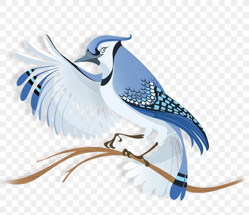 Bird Nest Toronto Blue Jays, PNG, 977x844px, Bird, Animal, Art, Beak, Bird Nest Download Free